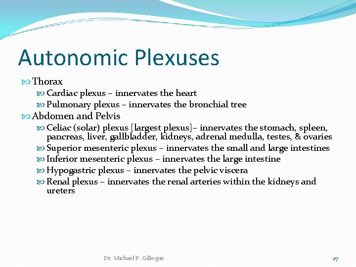 Autonomic Plexuses Thorax Cardiac plexus – innervates the heart Pulmonary plexus – innervates the