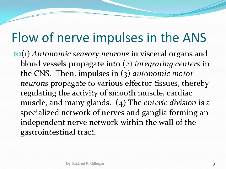 Flow of nerve impulses in the ANS (1) Autonomic sensory neurons in visceral organs