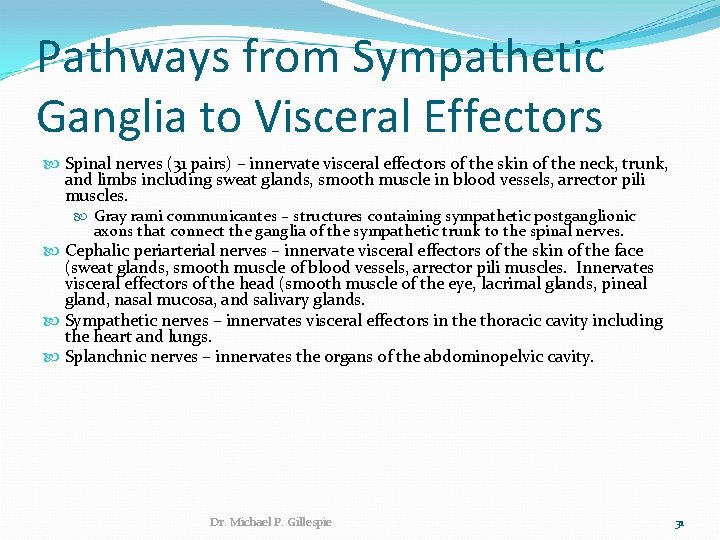Pathways from Sympathetic Ganglia to Visceral Effectors Spinal nerves (31 pairs) – innervate visceral
