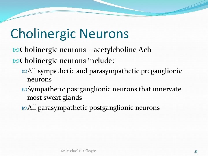 Cholinergic Neurons Cholinergic neurons – acetylcholine Ach Cholinergic neurons include: All sympathetic and parasympathetic