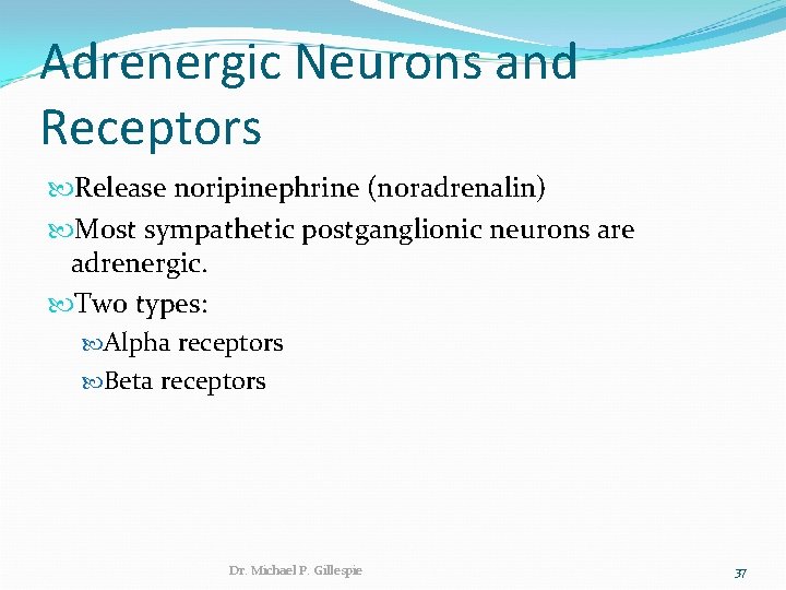 Adrenergic Neurons and Receptors Release noripinephrine (noradrenalin) Most sympathetic postganglionic neurons are adrenergic. Two