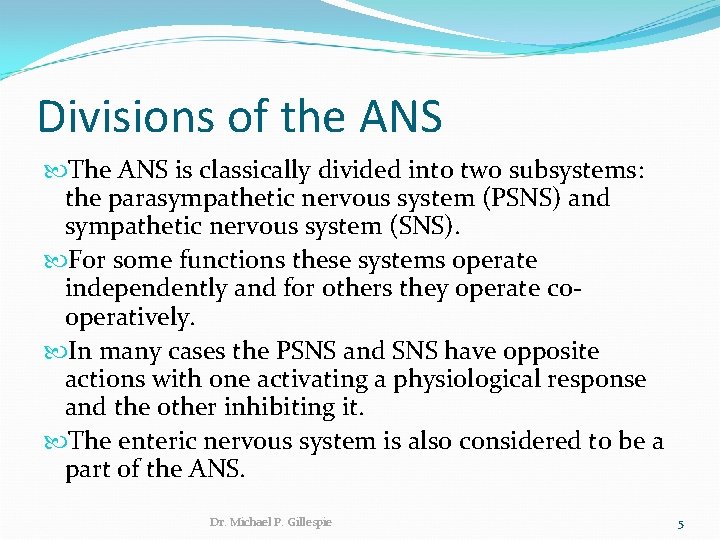 Divisions of the ANS The ANS is classically divided into two subsystems: the parasympathetic