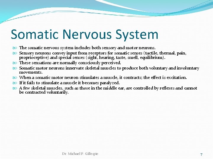 Somatic Nervous System The somatic nervous system includes both sensory and motor neurons. Sensory