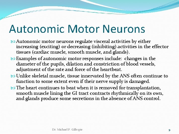 Autonomic Motor Neurons Autonomic motor neurons regulate visceral activities by either increasing (exciting) or