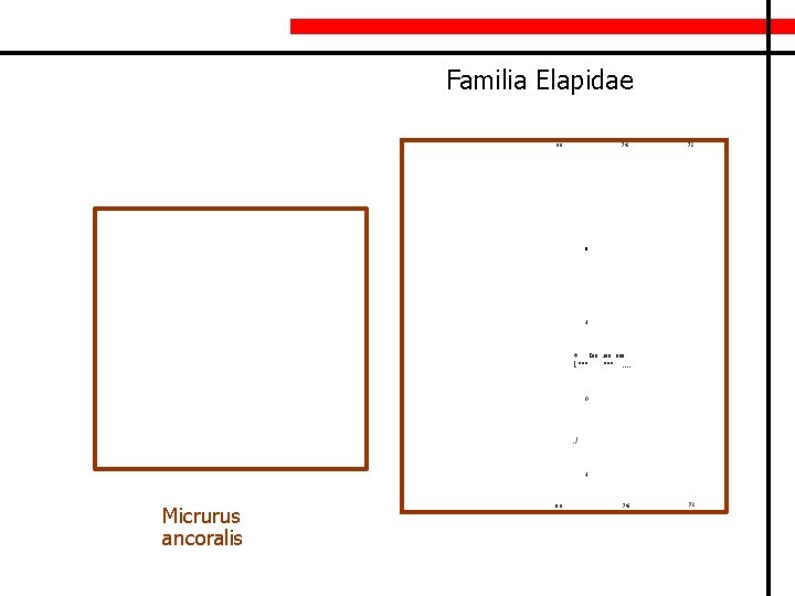 Familia Elapidae 76 80 72 8 4 o 100 200 1""" 300 """. .