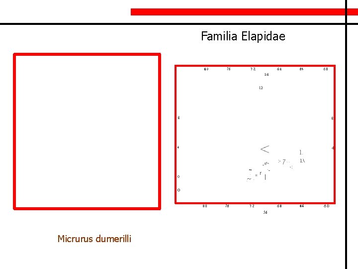 Familia Elapidae 80 76 72 68 64 60 56 12 8 8 < 4