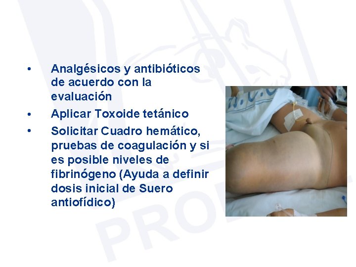  • • • Analgésicos y antibióticos de acuerdo con la evaluación Aplicar Toxoide