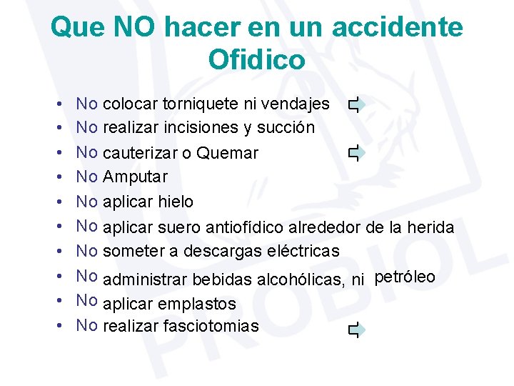 Que NO hacer en un accidente Ofidico • • • No colocar torniquete ni