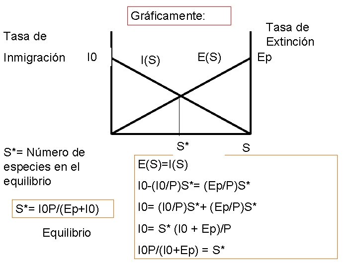 Gráficamente: Tasa de Extinción Ep Tasa de Inmigración I 0 S*= Número de especies