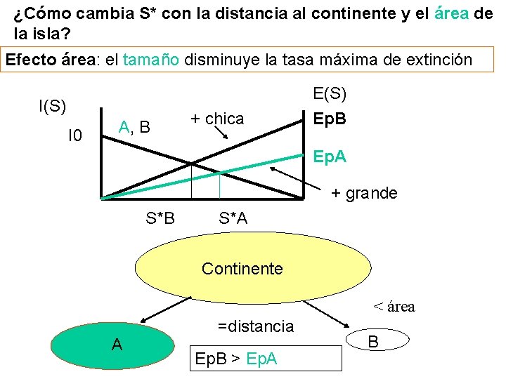 ¿Cómo cambia S* con la distancia al continente y el área de la isla?
