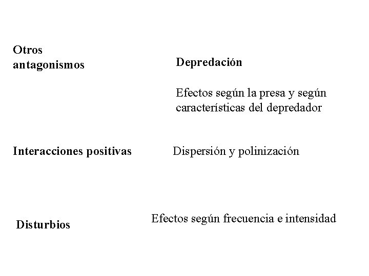 Otros antagonismos Depredación Efectos según la presa y según características del depredador Interacciones positivas