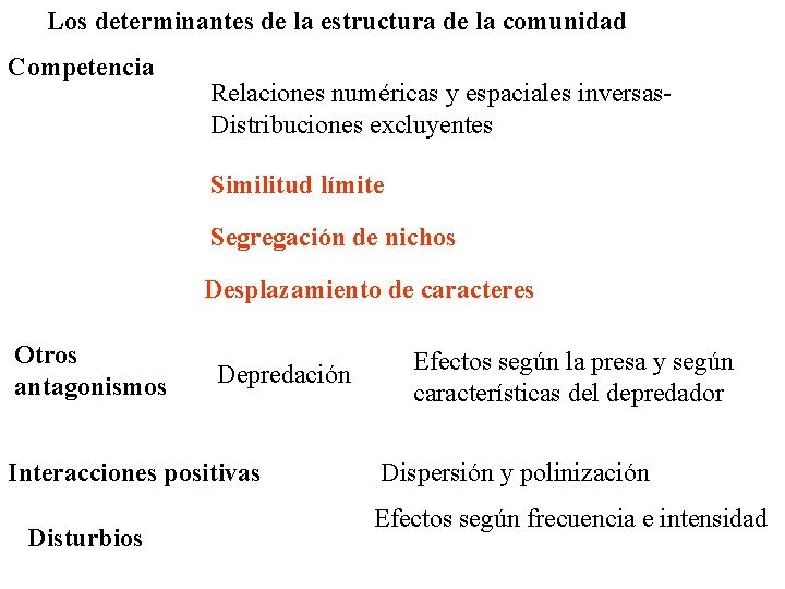 Los determinantes de la estructura de la comunidad Competencia Relaciones numéricas y espaciales inversas.