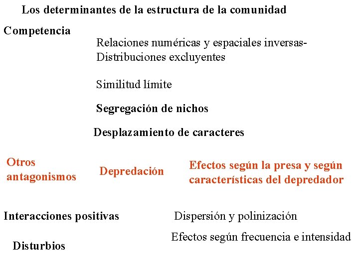 Los determinantes de la estructura de la comunidad Competencia Relaciones numéricas y espaciales inversas.