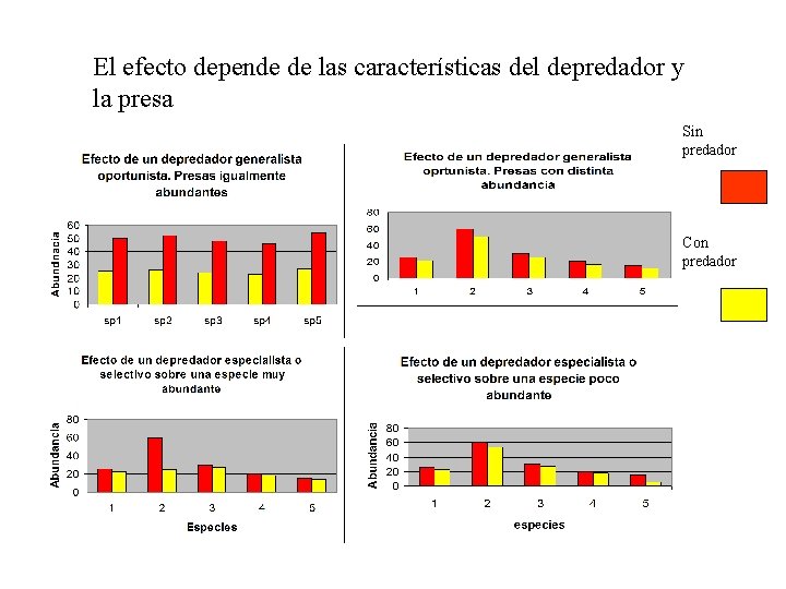 El efecto depende de las características del depredador y la presa Sin predador Con