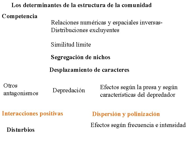 Los determinantes de la estructura de la comunidad Competencia Relaciones numéricas y espaciales inversas.