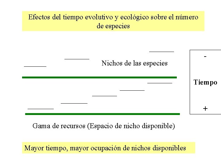 Efectos del tiempo evolutivo y ecológico sobre el número de especies Nichos de las