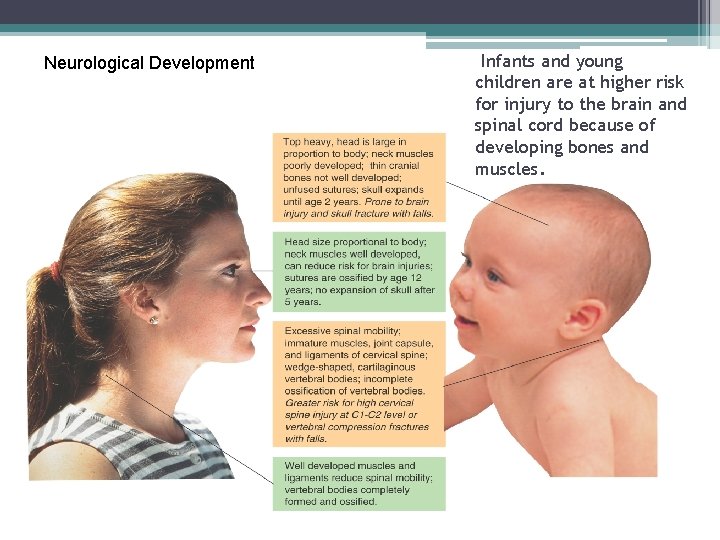 Neurological Development Infants and young children are at higher risk for injury to the Neurological Development Infants and young children are at higher risk for injury to the