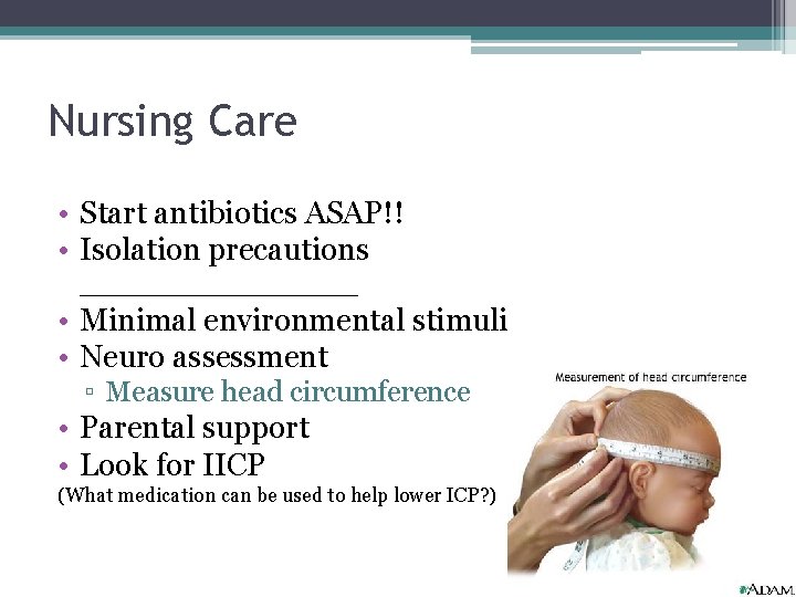 Nursing Care • Start antibiotics ASAP!! • Isolation precautions _______ • Minimal environmental stimuli Nursing Care • Start antibiotics ASAP!! • Isolation precautions _______ • Minimal environmental stimuli