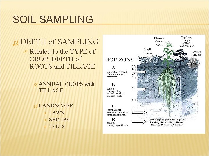 SOIL SAMPLING DEPTH of SAMPLING Related to the TYPE of CROP, DEPTH of ROOTS