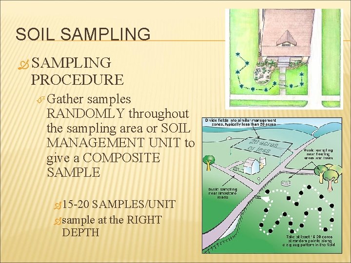 SOIL SAMPLING PROCEDURE Gather samples RANDOMLY throughout the sampling area or SOIL MANAGEMENT UNIT