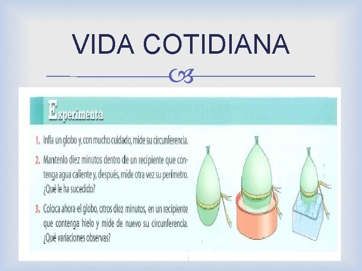 VIDA COTIDIANA 