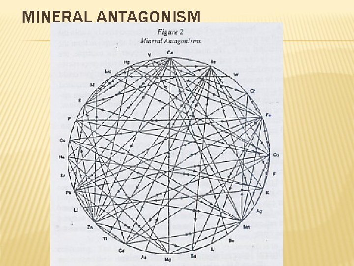 MINERAL ANTAGONISM 