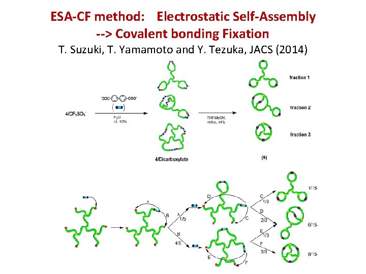 ESA-CF method: Electrostatic Self-Assembly --> Covaｌent bonding Fixation T. Suzuki, T. Yamamoto and Y.