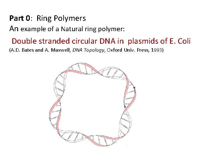 Part 0: Ring Polymers An example of a Natural ring polymer: Double stranded circular