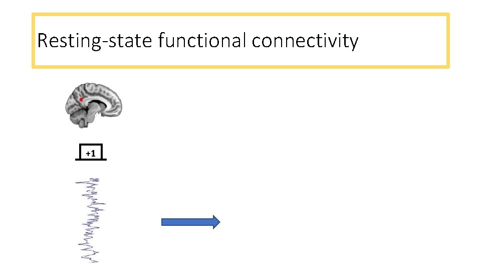 Resting-state functional connectivity +1 