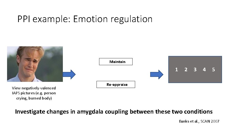 PPI example: Emotion regulation Maintain 1 View negatively-valenced IAPS pictures (e. g. person crying,