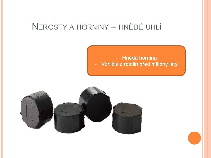 NEROSTY A HORNINY – HNĚDÉ UHLÍ - Hnědá hornina - Vznikla z rostlin před NEROSTY A HORNINY – HNĚDÉ UHLÍ - Hnědá hornina - Vznikla z rostlin před