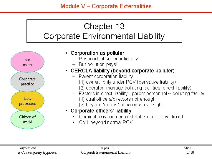 Module V – Corporate Externalities Chapter 13 Corporate Environmental Liability • Corporation as polluter