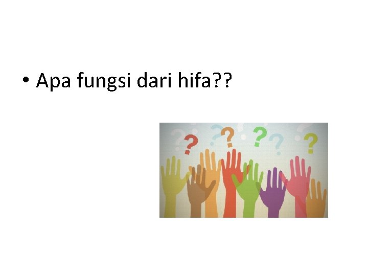  • Apa fungsi dari hifa? ? 