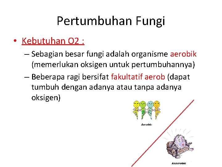 Pertumbuhan Fungi • Kebutuhan O 2 : – Sebagian besar fungi adalah organisme aerobik