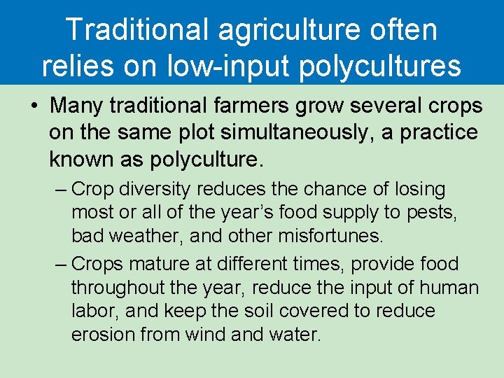Traditional agriculture often relies on low-input polycultures • Many traditional farmers grow several crops