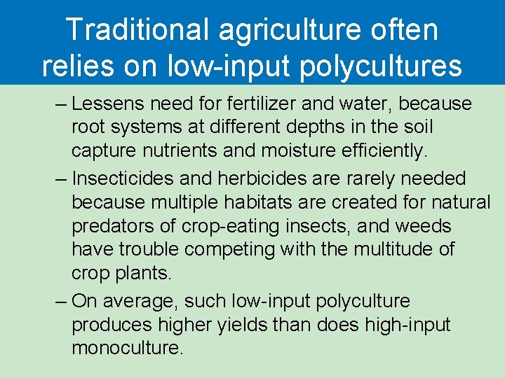 Traditional agriculture often relies on low-input polycultures – Lessens need for fertilizer and water,