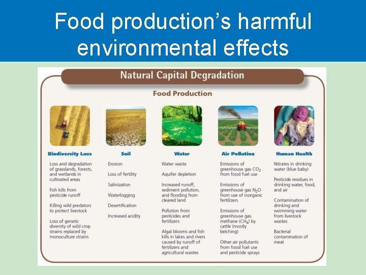 Food production’s harmful environmental effects 