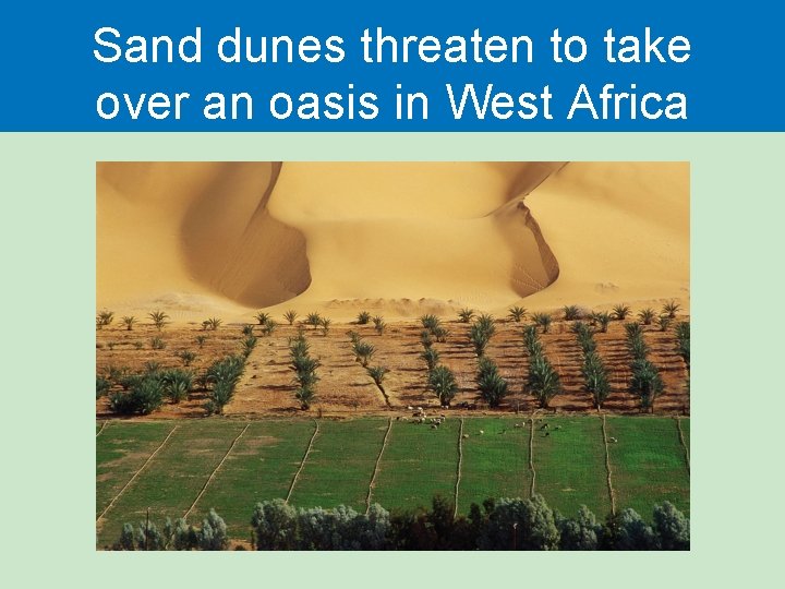 Sand dunes threaten to take over an oasis in West Africa 