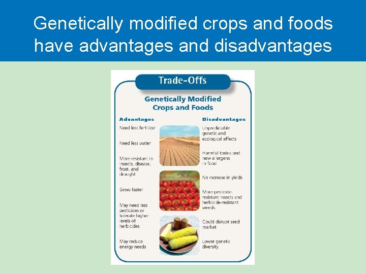 Genetically modified crops and foods have advantages and disadvantages 