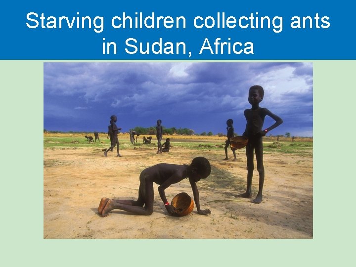 Starving children collecting ants in Sudan, Africa 