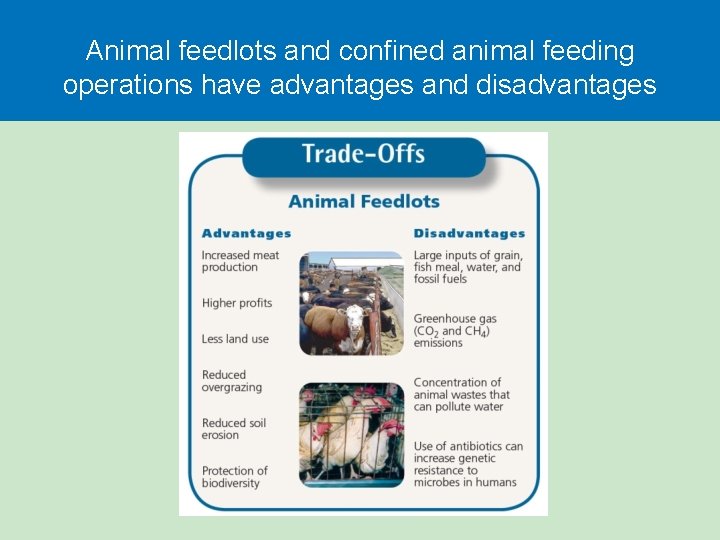 Animal feedlots and confined animal feeding operations have advantages and disadvantages 
