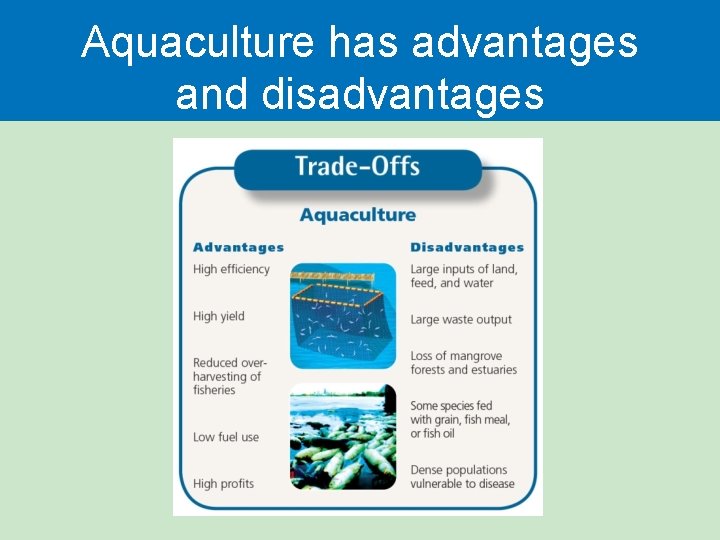 Aquaculture has advantages and disadvantages 