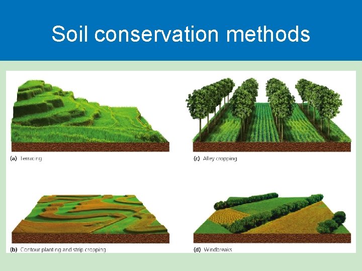 Soil conservation methods 
