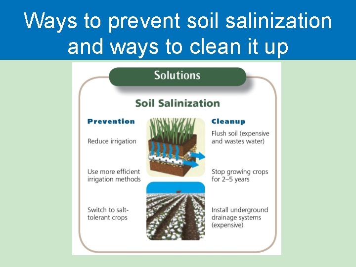 Ways to prevent soil salinization and ways to clean it up 