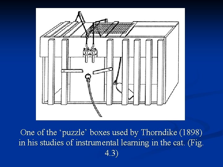 One of the ‘puzzle’ boxes used by Thorndike (1898) in his studies of instrumental
