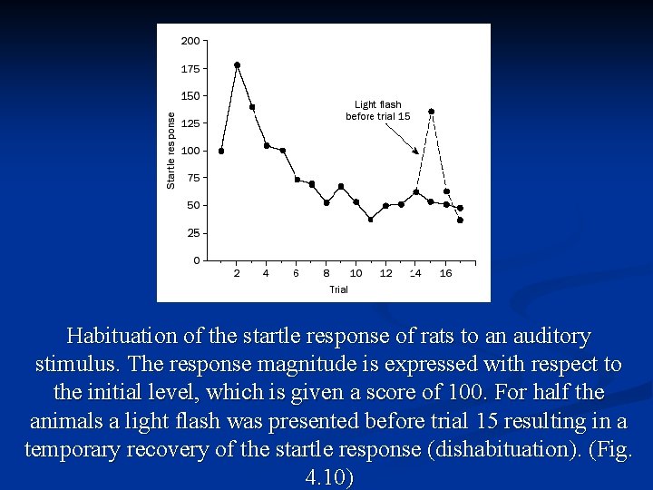 Habituation of the startle response of rats to an auditory stimulus. The response magnitude