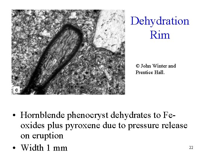 Dehydration Rim © John Winter and Prentice Hall. • Hornblende phenocryst dehydrates to Feoxides