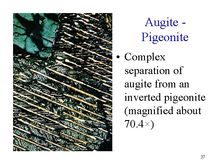 Augite Pigeonite • Complex separation of augite from an inverted pigeonite (magnified about 70.