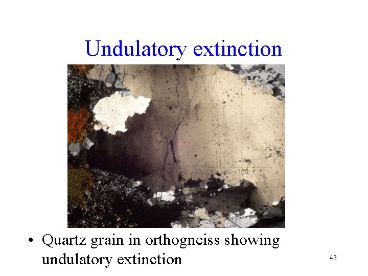 Undulatory extinction • Quartz grain in orthogneiss showing undulatory extinction 43 