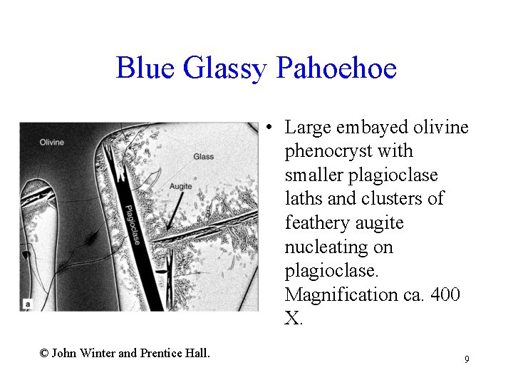 Blue Glassy Pahoehoe • Large embayed olivine phenocryst with smaller plagioclase laths and clusters